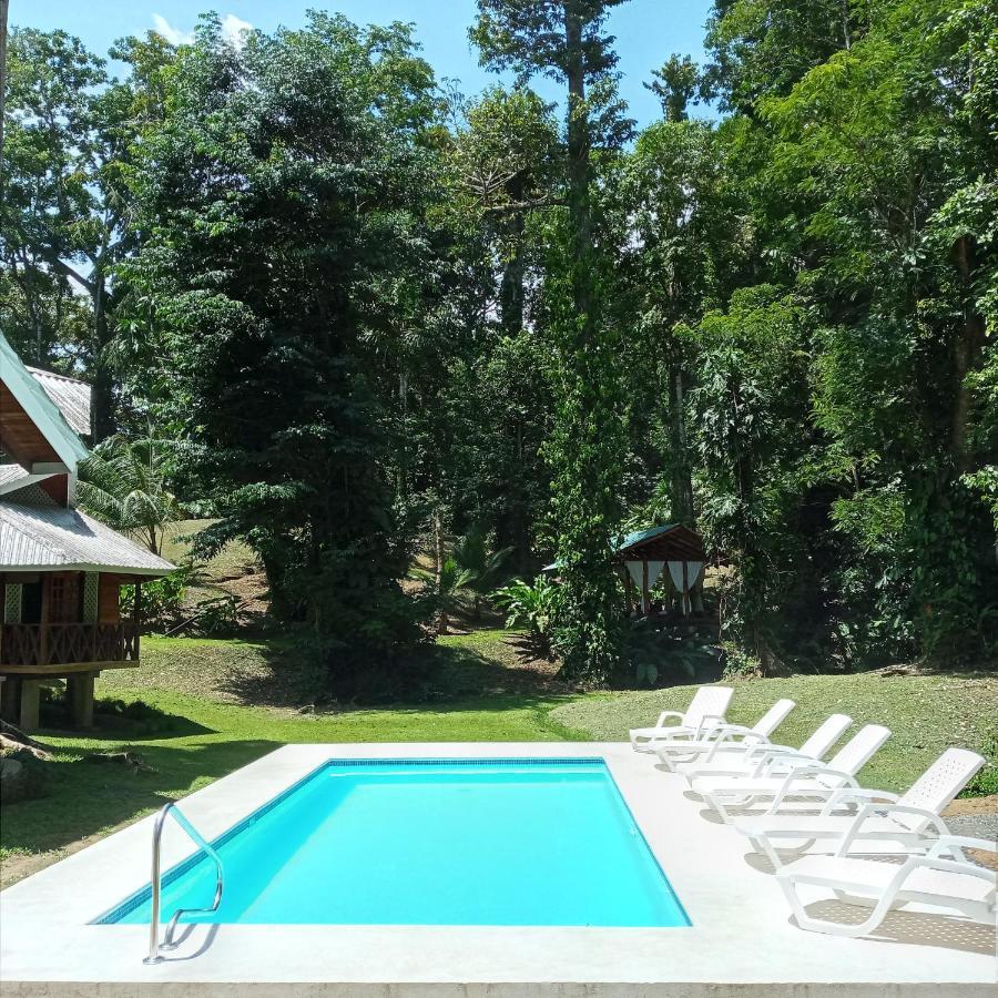 La Magia Bungalows Puerto Viejo de Talamanca Zewnętrze zdjęcie