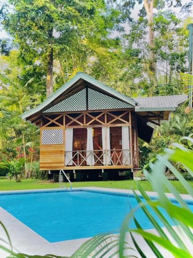 La Magia Bungalows Puerto Viejo de Talamanca Zewnętrze zdjęcie