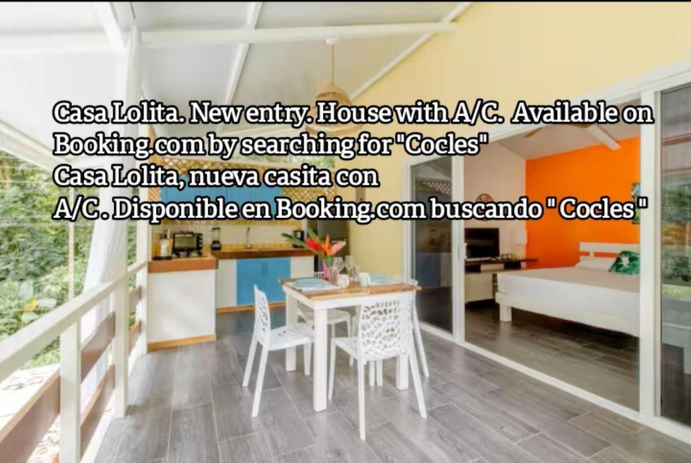 La Magia Bungalows Puerto Viejo de Talamanca Zewnętrze zdjęcie
