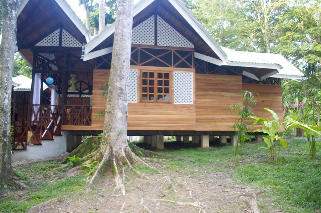 La Magia Bungalows Puerto Viejo de Talamanca Pokój zdjęcie